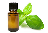 Basil Oil