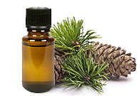 Cedarwood Himalayan Oil