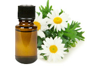 Chamomile (Blue Oil)