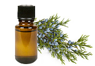 Juniper Berry Essential Oil