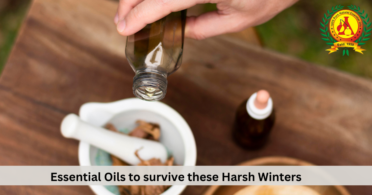 Essential Oils to survive these Harsh Winters  