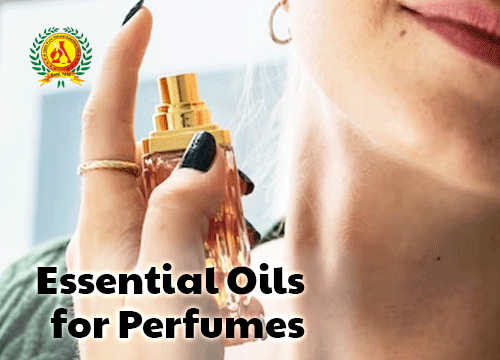 Essential oils for Perfumes  