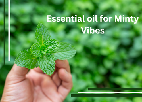 Essential oils for that Minty Vibe  