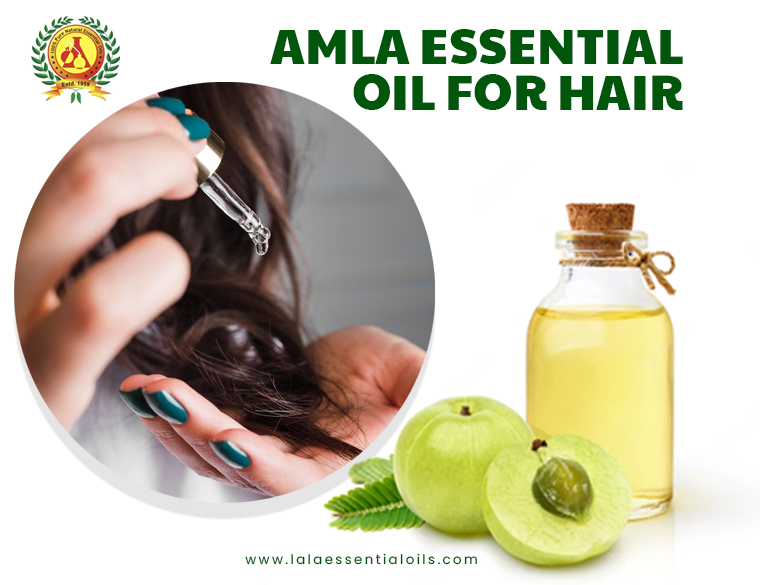 Amla Oil for your Hair 