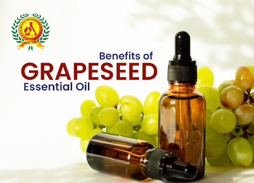 essential oil manufacturer