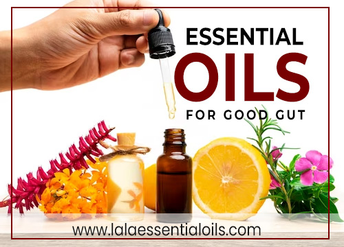 Essential oils for good gut  