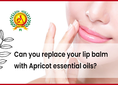 Can you replace your lip balm with Apricot essential oils?