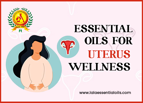 Essential Oils for Uterus Wellness