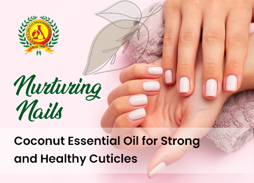 Nurturing Nails: Coconut Essential Oil for Strong and Healthy Cuticles