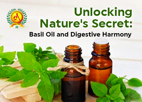 Unlocking Nature's Secret: Basil Oil and Digestive Harmony