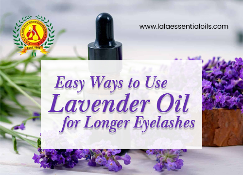 Easy Ways to Use Lavender Oil for Longer Eyelashes