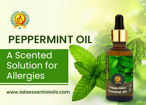 Peppermint Oil: A Scented Solution for Allergies