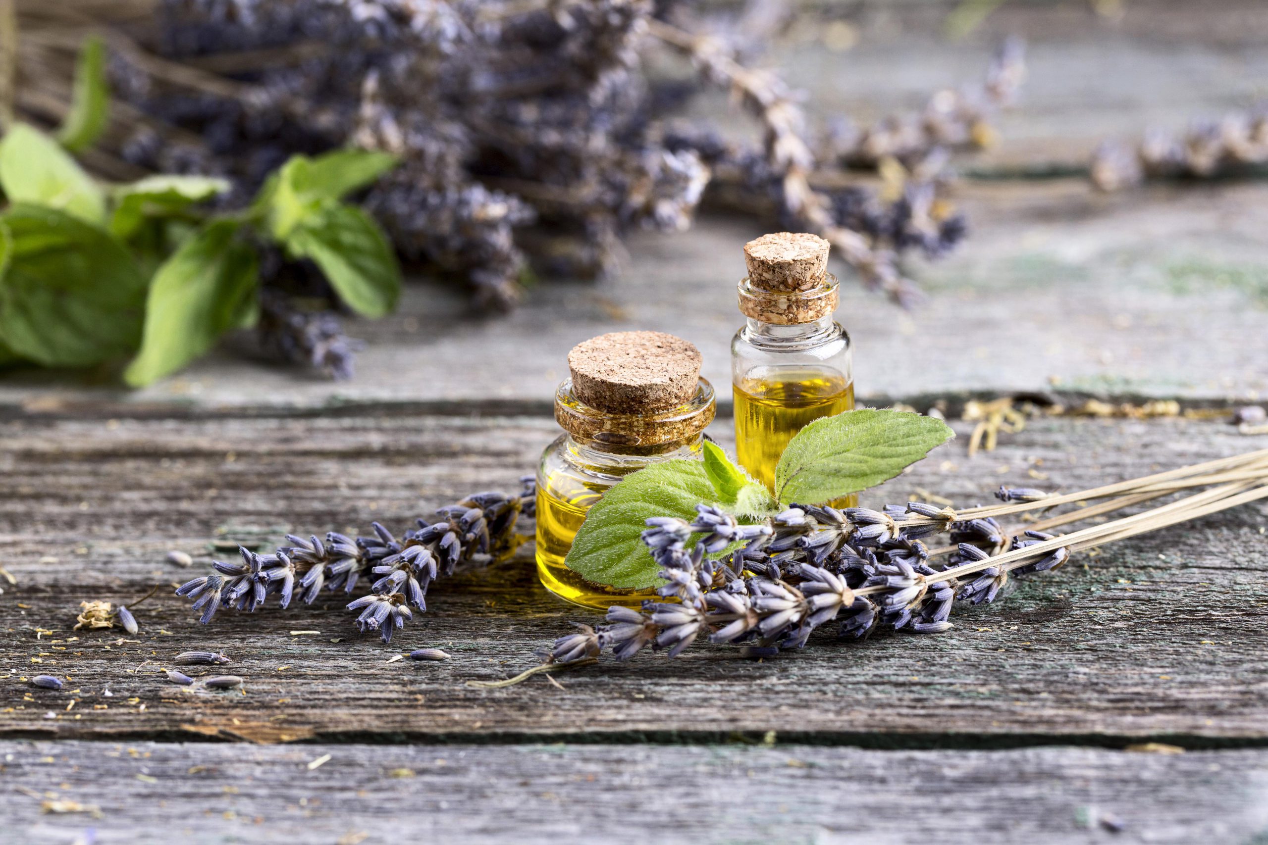 Lavender Oil for Better Sleep: Benefits and Usage Tips