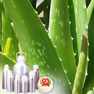 Aloe Vera Oil