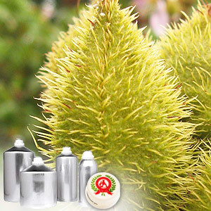 Annatto Extract 0.5% Bixin