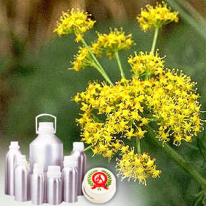 Asafoetida Oleoresin