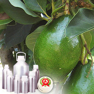 Avocada Oil