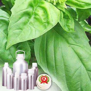 Basil Oil - Certified Organic