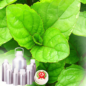 Bergamot Mint Oil