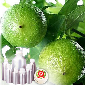 Bergamot Certified Organic Oil