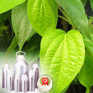 Betel Leaf Oil