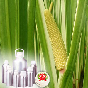 Calamus Oil