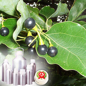 Camphor Oil