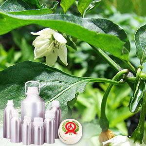 Capsicum Oleoresin 10% capsaicin