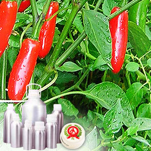 Capsicum Oleoresin (CP) - 6% capsaicin