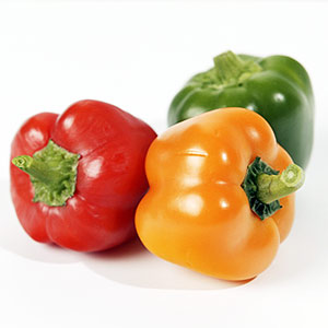 Capsicum