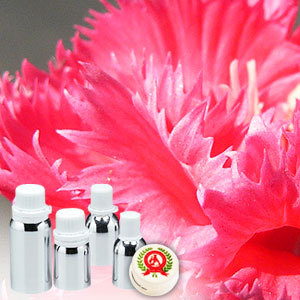Carnation Absolute Oil