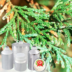 Cedarleaf (Thuja) Floral Water