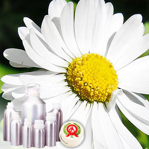 Chamomile Roman oil - Certified Organic