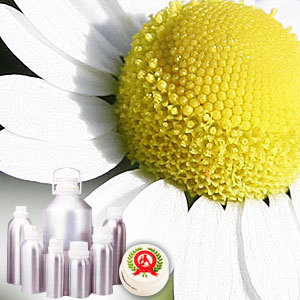 Chamomile (Roman) Oil