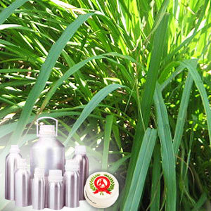 Citronella Oil Java