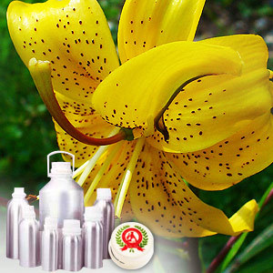 Citronella oil - Certified Organic