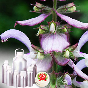 Clary Sage Oil