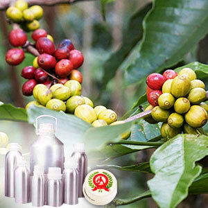 Coffee Oil