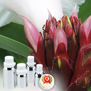 Costus Root Oil