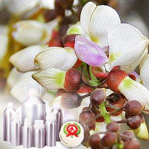 Davana Oil