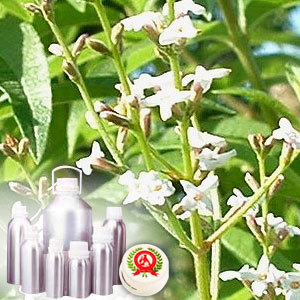 Elemi Pure Essential Oil