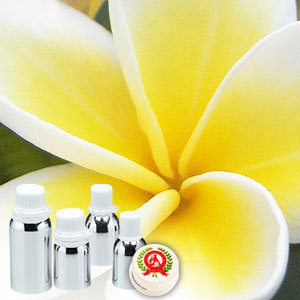 Frangipani Absolute Oil