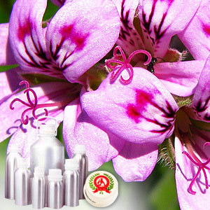 Geranium oil (Egypt) - Certified Organic