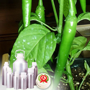 Green Chilli Oleoresin (6.6 % capsaicin)