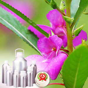 Gurjun Balsam Oil