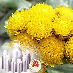 Helichrysum Oil