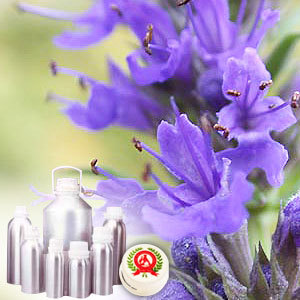 Hyssop Oil