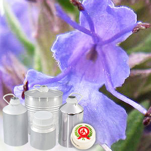 Hyssop Floral Water