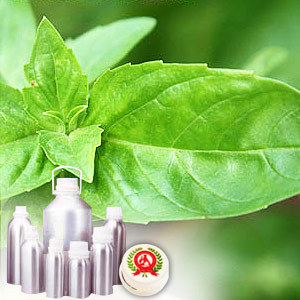 Indian Basil Oil (Chavicol)