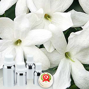 Jasmine Auriculatum Absolute Oil